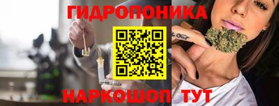 индика Чебаркуль