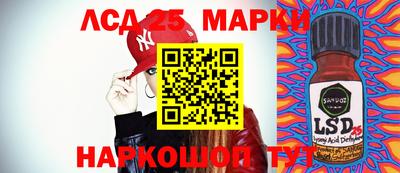 индика Чебаркуль